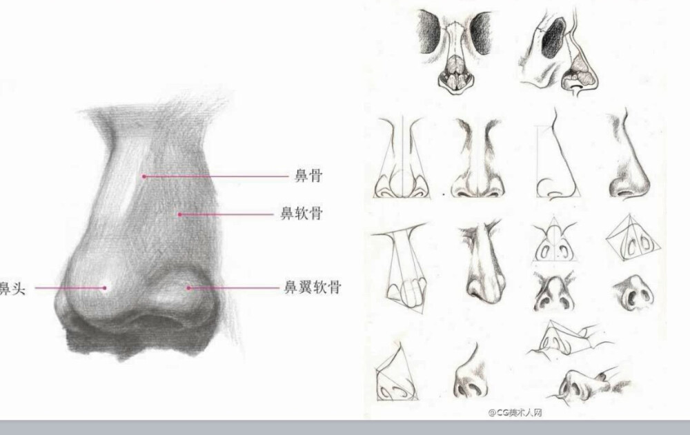 眼睛鼻子