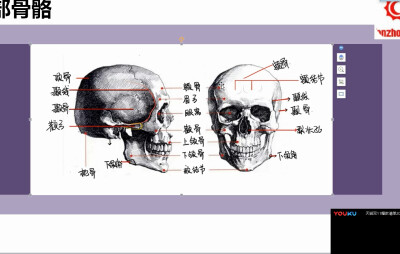 头像骨骼教程