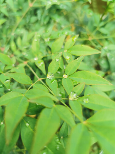 雨后