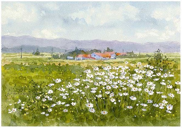 来自画家楢崎清春。 ​​​​