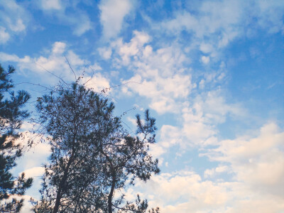 抬头看一看，其实天空很美。