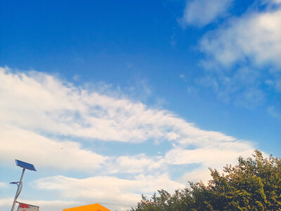 抬头看一看，其实天空很美。