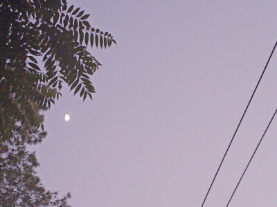 熬过万丈孤独，藏下星辰大海。