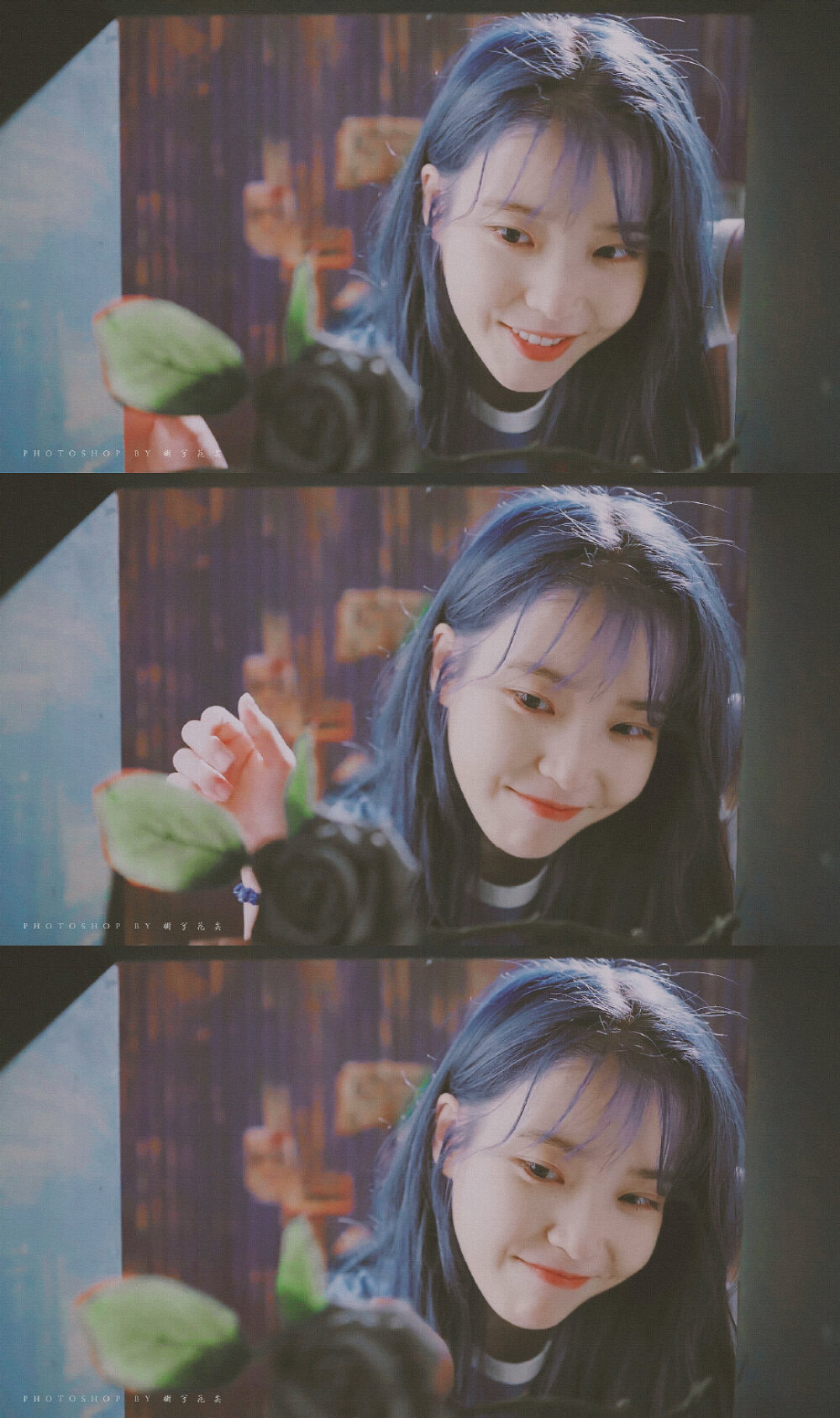 #IU#
Blueming
cr@树兮花矣