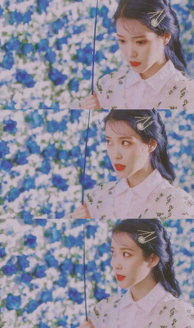 #IU#
Blueming
cr@树兮花矣