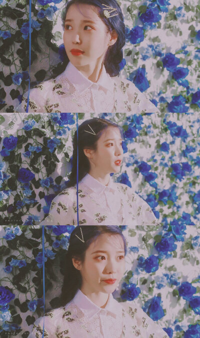 #IU#
Blueming
cr@树兮花矣