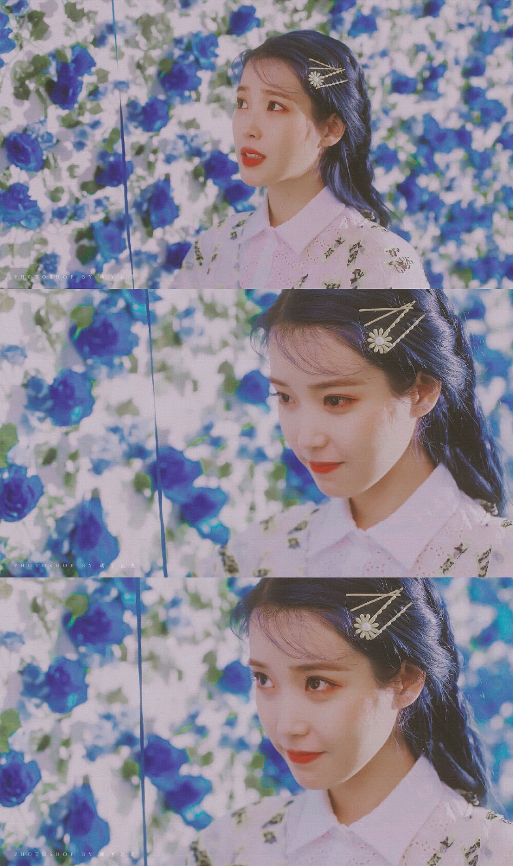 #IU#
Blueming
cr@树兮花矣