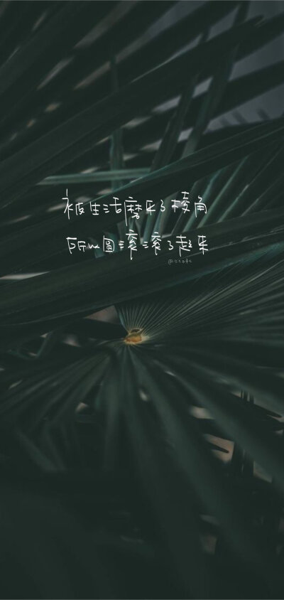 「 能治癒你的從來都不是時間而是明白。 」
cr@江时七
#深夜壁紙# ​