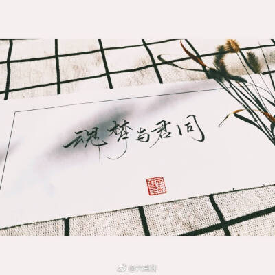 来自微博：六耳酱。已授权√