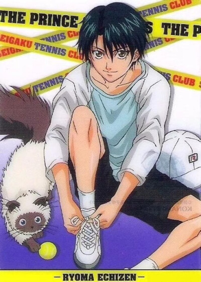 kuma