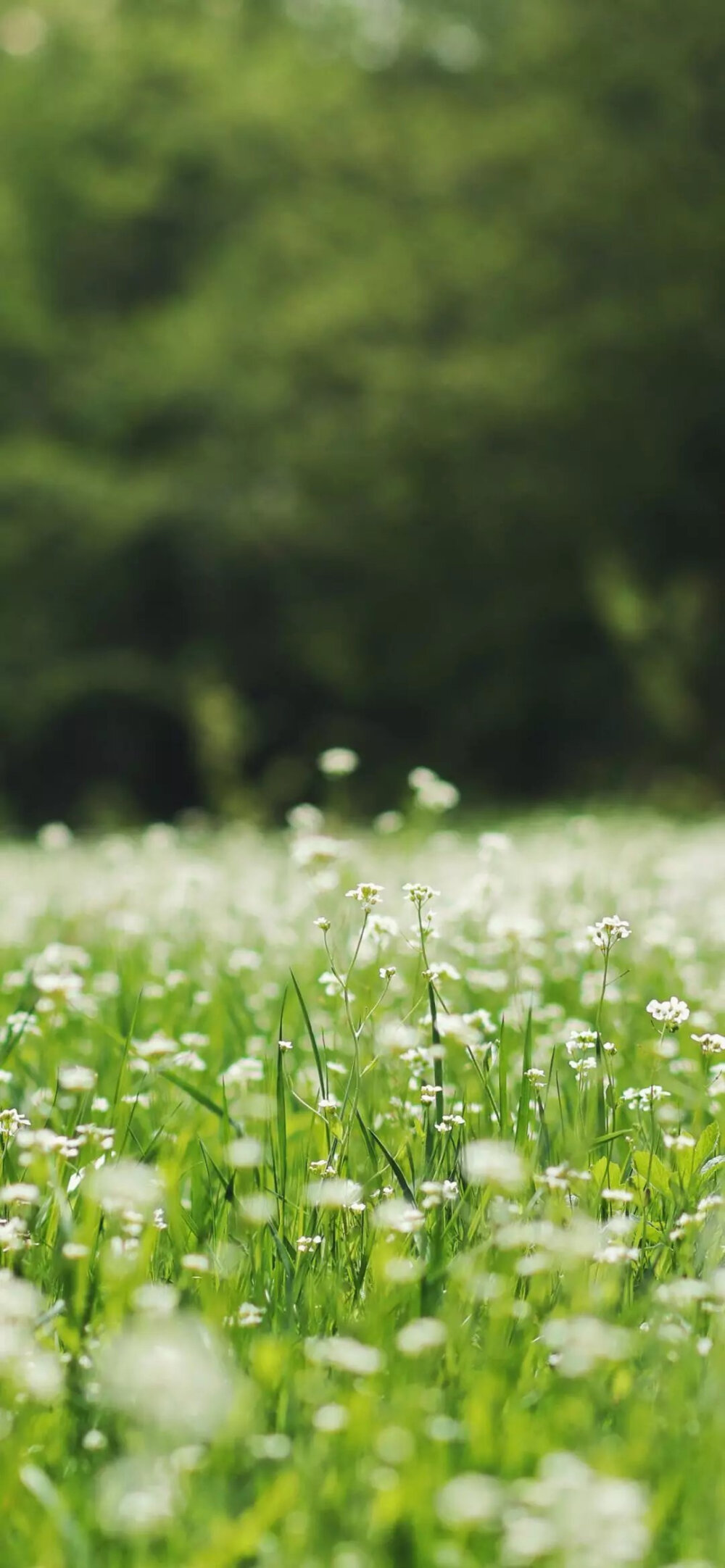“愿我们在彼此看不到的岁月里熠熠生辉”