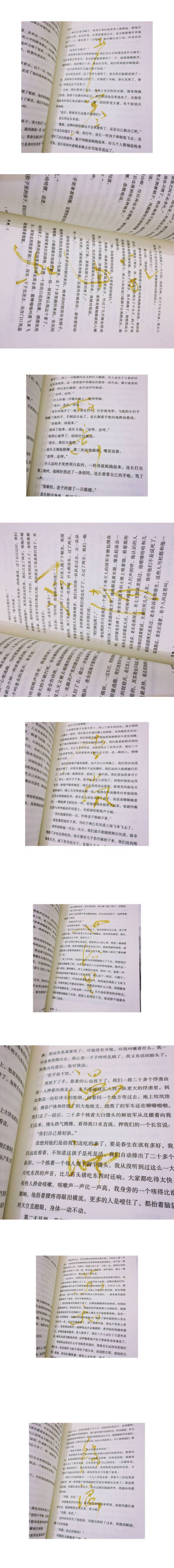 陈粒的字