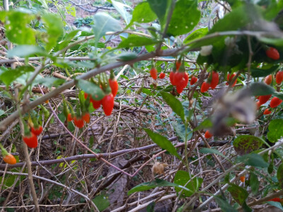 这是省城后花园呀