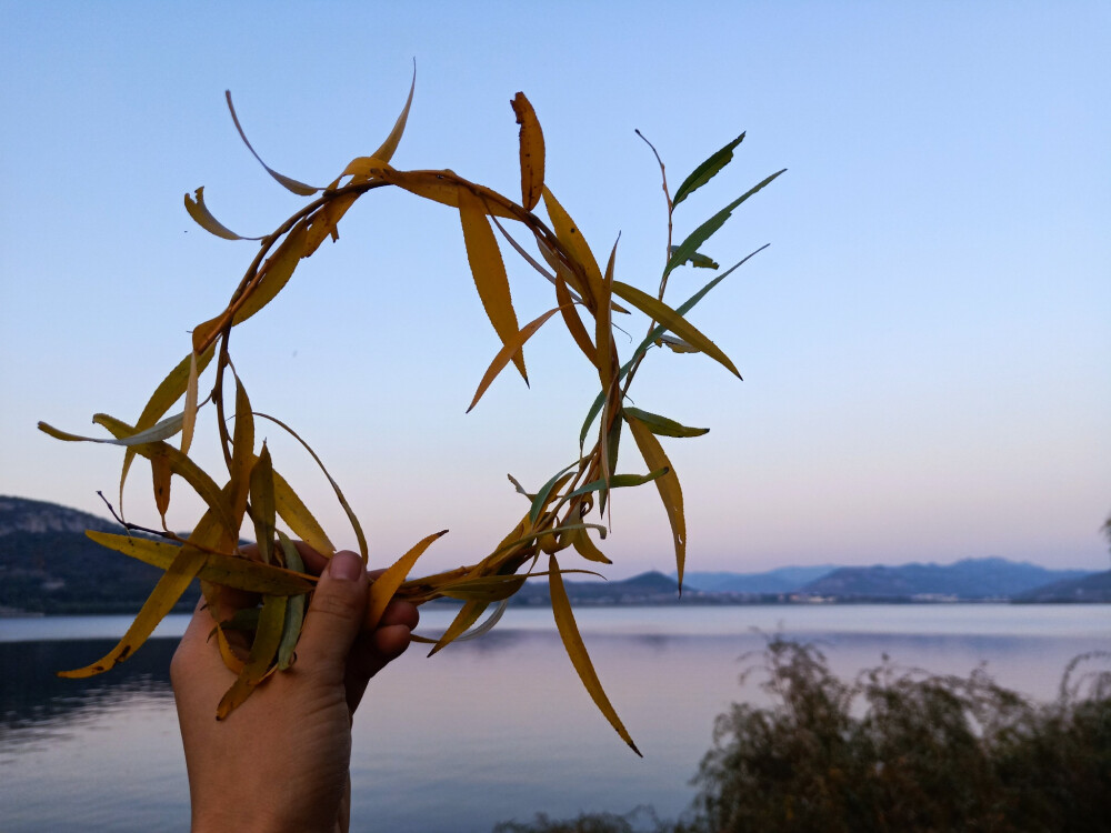 这是省城后花园呀