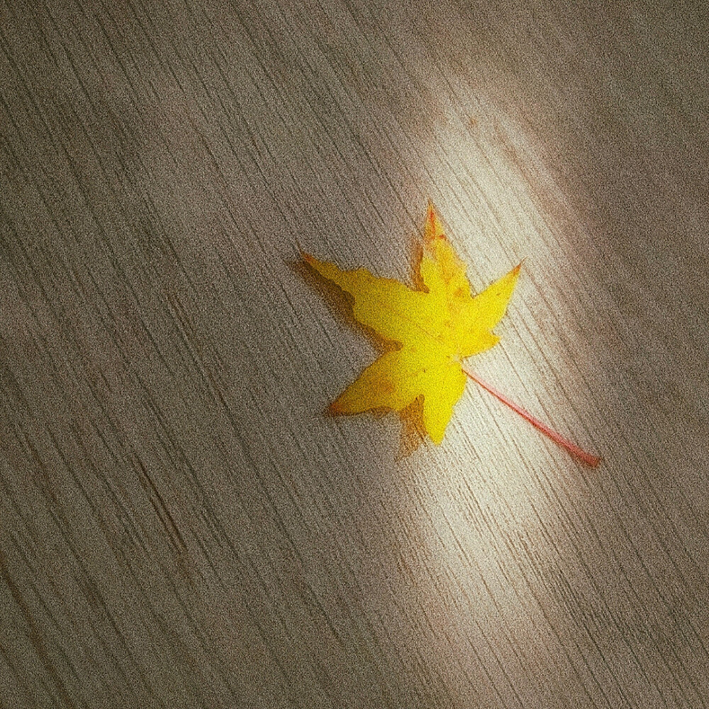 落叶