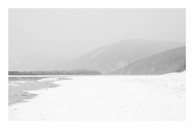 今日小雪，一只不冬眠的熊