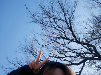 ⠀⠀⠀⠀⠀ ➵⠀➵⠀⠀⠀⠀⠀⠀⠀⠀
⠀⠀⠀⠀ ➶⠀⠀⠀⠀⠀ ⠀➴⠀⠀⠀⠀⠀⠀⠀
⠀ ➶⠀⠀⠀⠀⠀⠀⠀⠀⠀⠀ ➴⠀⠀⠀⠀
⠀ ᴡᴏɴᴅᴇʀғᴜʟ⭐️⠀⠀ ˁ‧͈ˑ̮‧͈ˀ˖⋆ ​​​