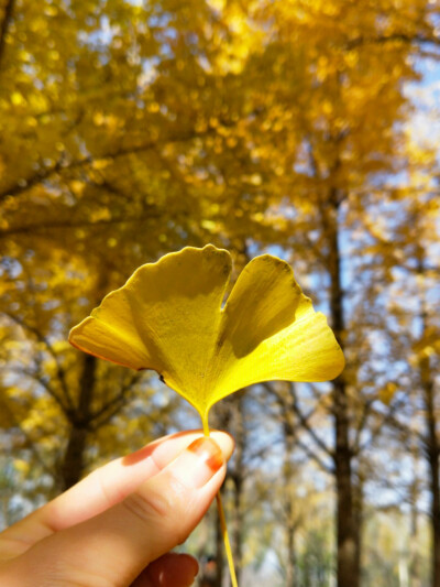 ⠀⠀⠀⠀⠀ ➵⠀➵⠀⠀⠀⠀⠀⠀⠀⠀
⠀⠀⠀⠀ ➶⠀⠀⠀⠀⠀ ⠀➴⠀⠀⠀⠀⠀⠀⠀
⠀ ➶⠀⠀⠀⠀⠀⠀⠀⠀⠀⠀ ➴⠀⠀⠀⠀
⠀ ᴡᴏɴᴅᴇʀғᴜʟ⭐️⠀⠀ ˁ‧͈ˑ̮‧͈ˀ˖⋆ ​​​