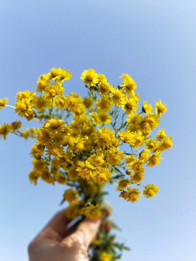 ⠀⠀⠀⠀⠀ ➵⠀➵⠀⠀⠀⠀⠀⠀⠀⠀
⠀⠀⠀⠀ ➶⠀⠀⠀⠀⠀ ⠀➴⠀⠀⠀⠀⠀⠀⠀
⠀ ➶⠀⠀⠀⠀⠀⠀⠀⠀⠀⠀ ➴⠀⠀⠀⠀
⠀ ᴡᴏɴᴅᴇʀғᴜʟ⭐️⠀⠀ ˁ‧͈ˑ̮‧͈ˀ˖⋆ ​​​