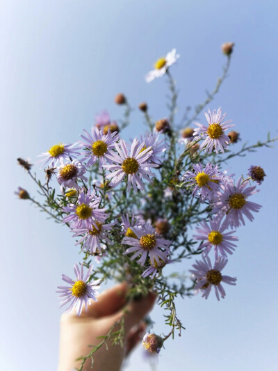 ⠀⠀⠀⠀⠀ ➵⠀➵⠀⠀⠀⠀⠀⠀⠀⠀
⠀⠀⠀⠀ ➶⠀⠀⠀⠀⠀ ⠀➴⠀⠀⠀⠀⠀⠀⠀
⠀ ➶⠀⠀⠀⠀⠀⠀⠀⠀⠀⠀ ➴⠀⠀⠀⠀
⠀ ᴡᴏɴᴅᴇʀғᴜʟ⭐️⠀⠀ ˁ‧͈ˑ̮‧͈ˀ˖⋆ ​​​