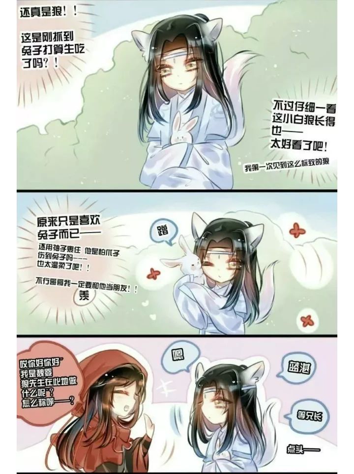 魔道祖师 小红帽