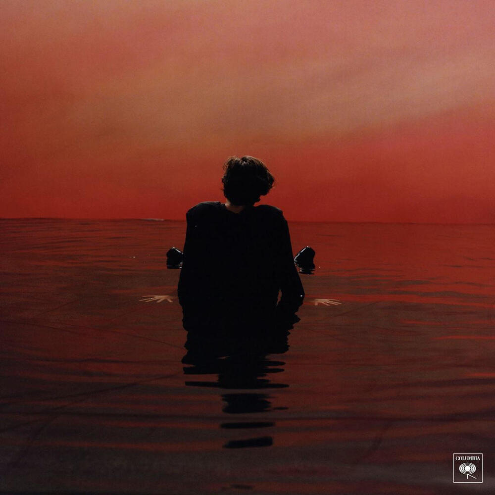 Sign ofthe Times-Harry Styles