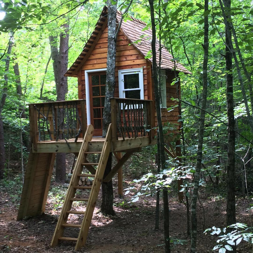 树屋 Tree House 小木屋