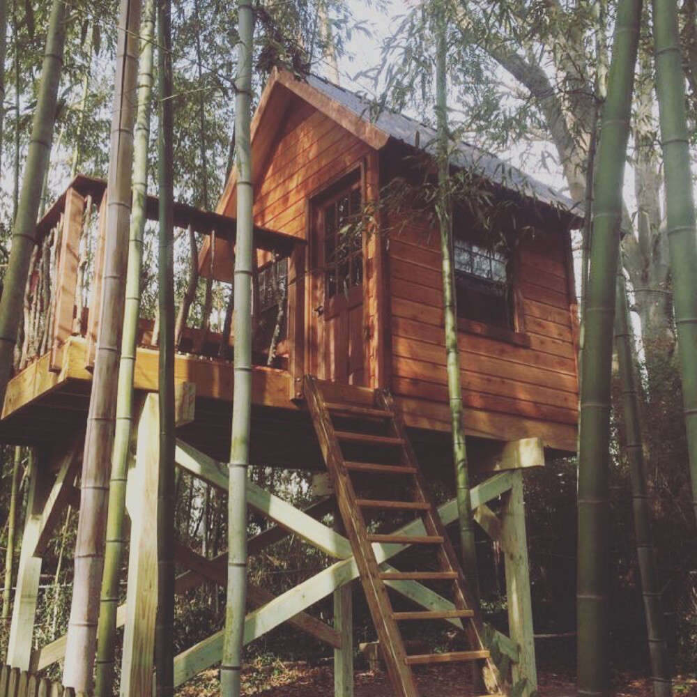 树屋 Tree House 小木屋