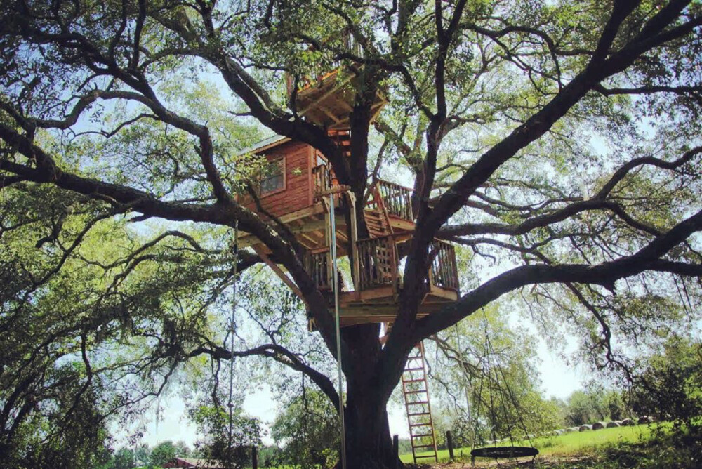 树屋 Tree House 小木屋