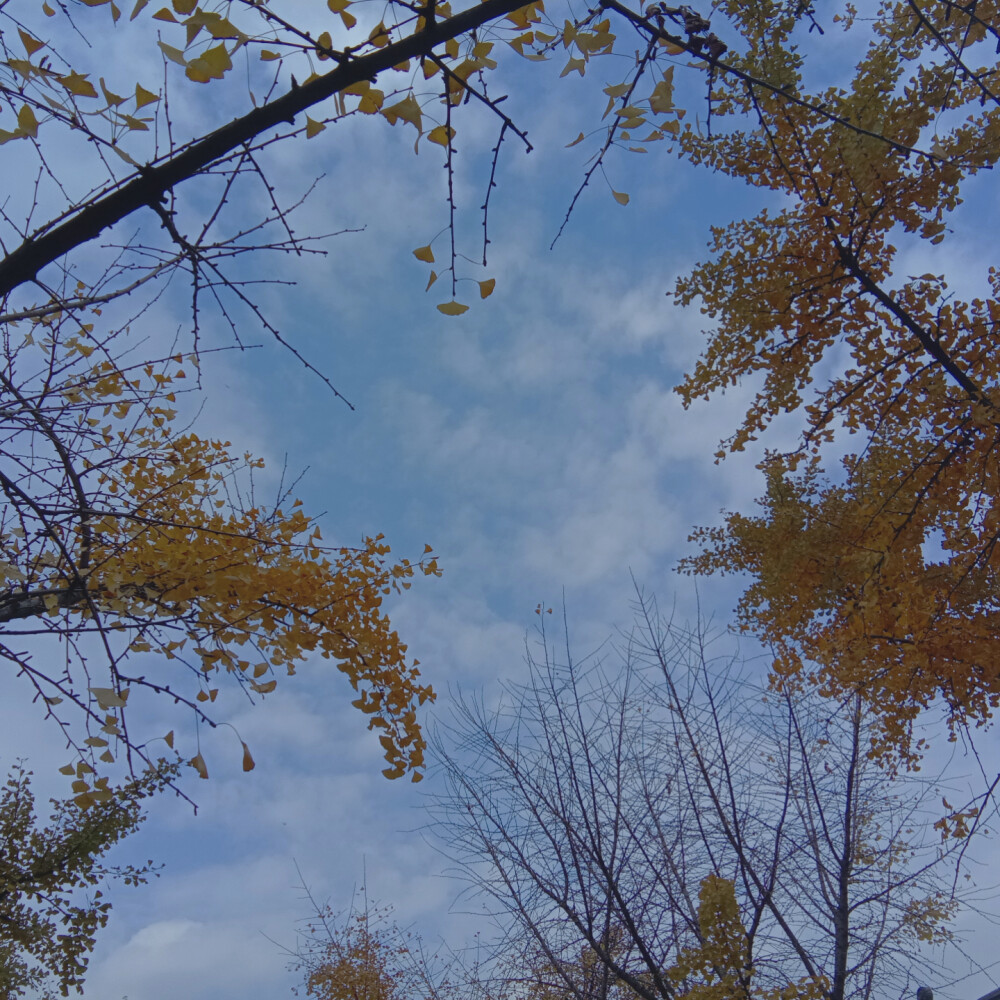 
我知道你很累
生活节奏快到让你不知道什么时候去难过
每天重复日复一日的生活
睡前刷着微博看着短视频
体验着别人的体验忘记了自我的世界
不知不觉中睡去 这就开始迎接明天
希望你能在难过的时候多腾出时间陪陪自己
生活便是如此 很累 但要爱自己