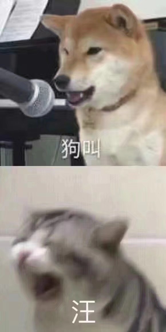 沙雕猫猫狗狗头