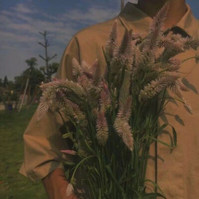 捧花少年