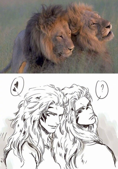 狮子拟人