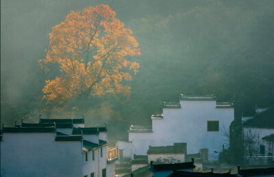 时人若问居何处，绿水青山是我家