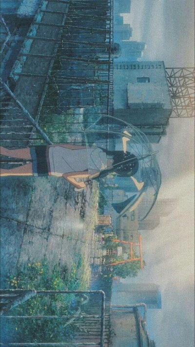 来自一只猪的壁纸