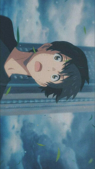 来自一只猪的壁纸