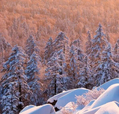 伊春大菁山，
观赏那壮观辽阔的山峦红松，
近距离地感受大雪压青松的童话。