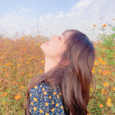 三色堇儿闺蜜女头
图源洝大人
二传注明 喜收藏