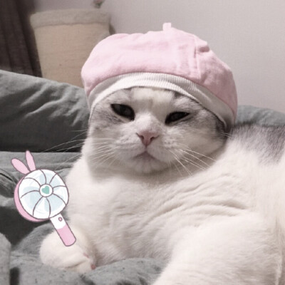 何佳琪