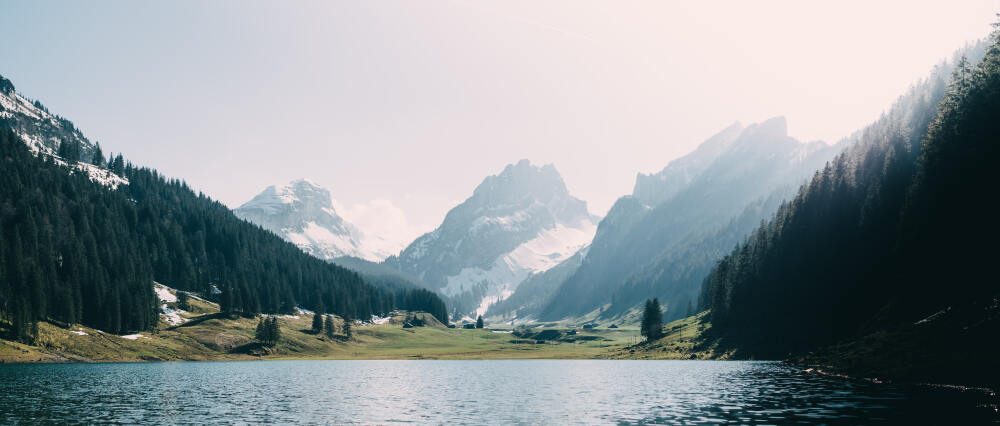 风景