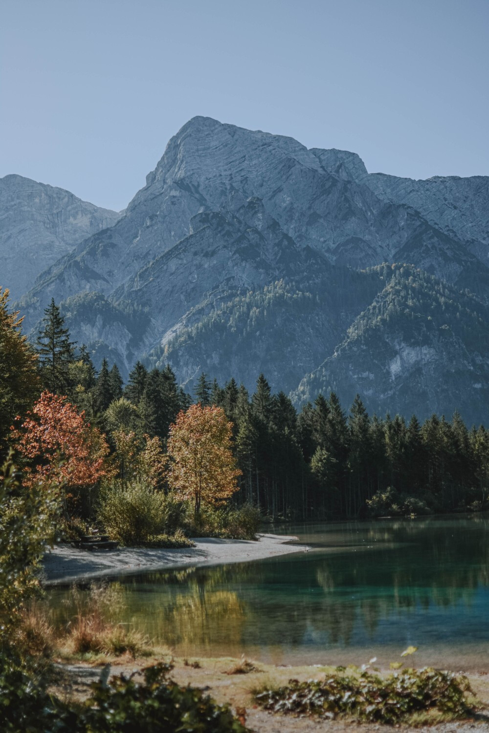 风景