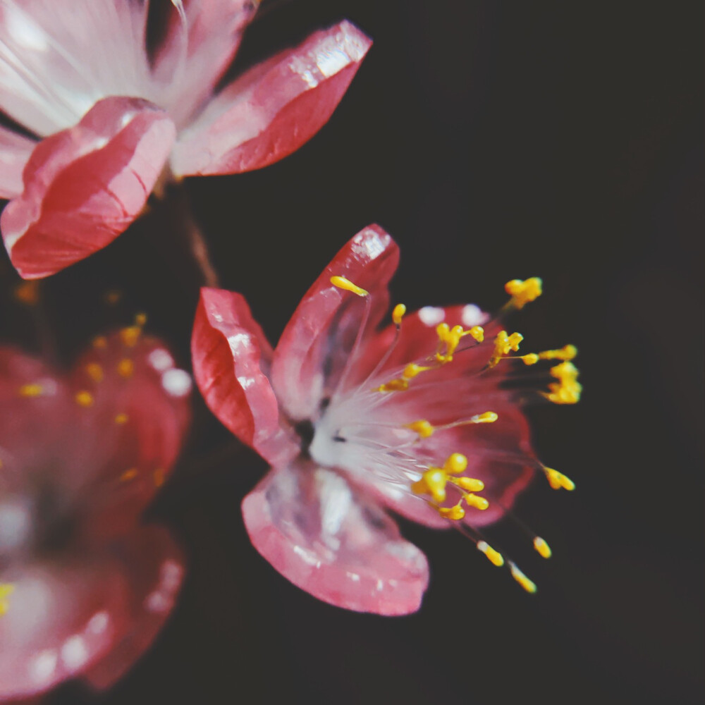 热缩片热缩花，发簪。古风