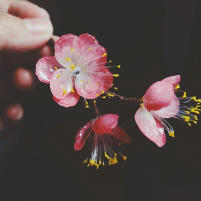 热缩片热缩花，发簪。古风