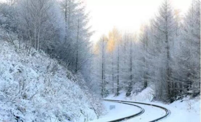 冬季就要去雪！
森林如大海般连绵起伏，辽阔的原野尽是白雪皑皑，冬天到漠河来一定要徒步，在海林雪原里感受下这里的天空蔚蓝，这里的空气清甜，脚下“咯吱”的声音仿佛来自天籁的音乐，感受一下寒冷，走一个过程会…