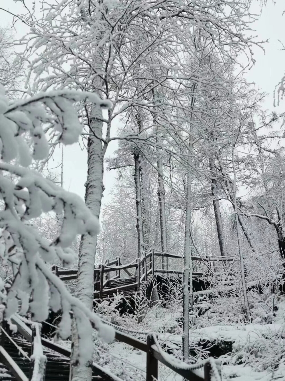 冬季就要去雪！
森林如大海般连绵起伏，辽阔的原野尽是白雪皑皑，冬天到漠河来一定要徒步，在海林雪原里感受下这里的天空蔚蓝，这里的空气清甜，脚下“咯吱”的声音仿佛来自天籁的音乐，感受一下寒冷，走一个过程会给你留下一生的回味，徒步穿越适合很多景点。
如果你没尝试过，在行程中徒步那么你的记忆库中可能就会少了一个难忘的部分…
这里让我们看到山的宁静，雪的洁白，山林馈赠丰厚，而这里的人们生活简单至极。
一路风景一路行，在行走的路上看黑龙江的浩瀚，苍茫的雪原，总会有一种恍惚，仿佛穿越了时空。