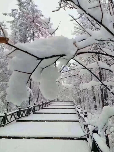 冬季就要去雪！
森林如大海般连绵起伏，辽阔的原野尽是白雪皑皑，冬天到漠河来一定要徒步，在海林雪原里感受下这里的天空蔚蓝，这里的空气清甜，脚下“咯吱”的声音仿佛来自天籁的音乐，感受一下寒冷，走一个过程会…