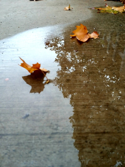 想你，在雨天☔