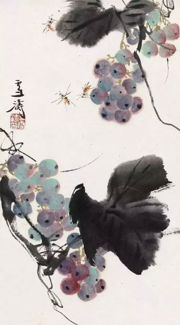 花鸟