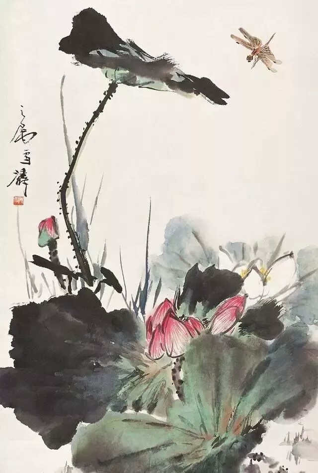 花鸟