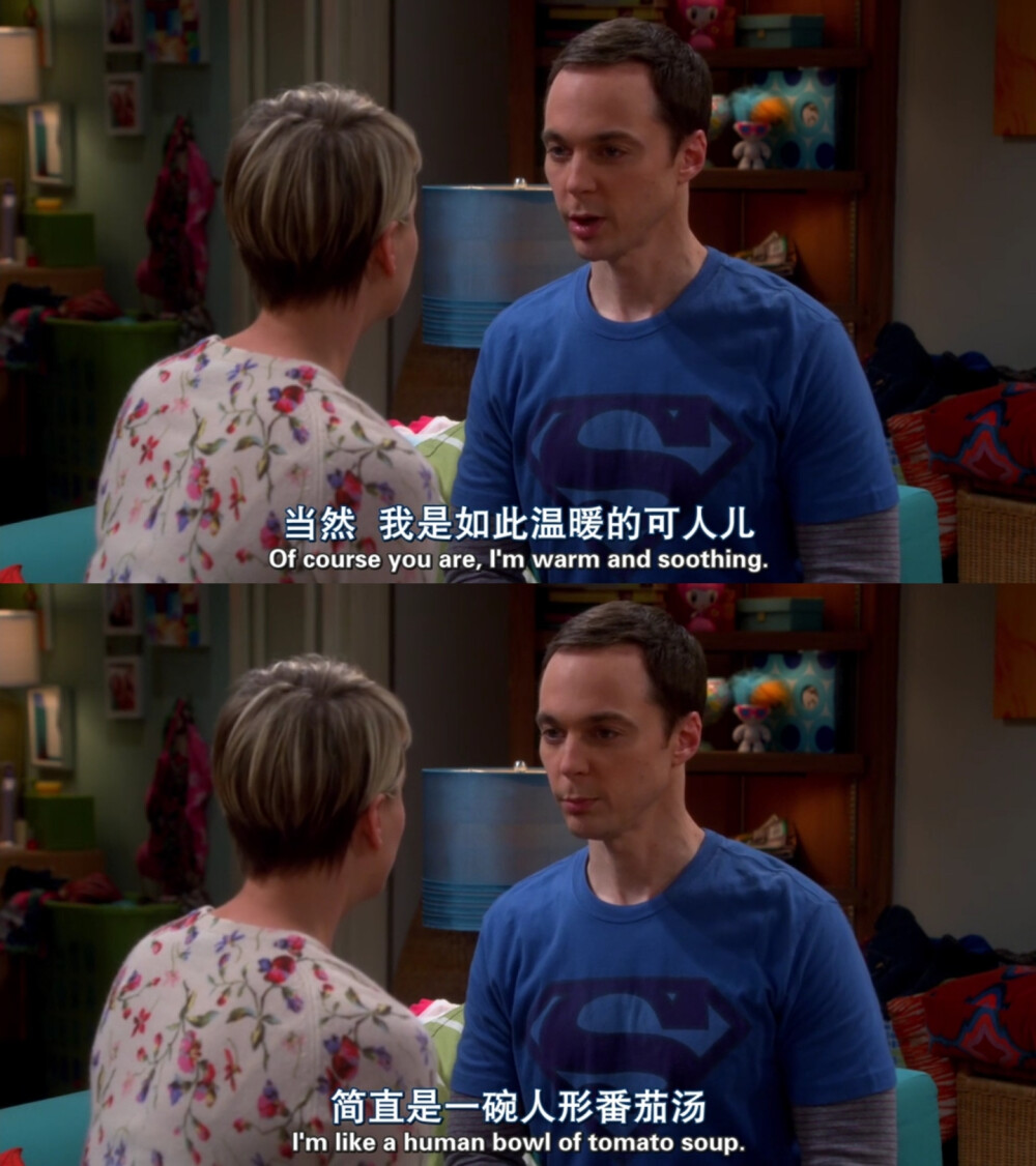 生活大爆炸
The Big Bang Theory/TBBT